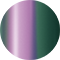 Camaleon violeta a verde